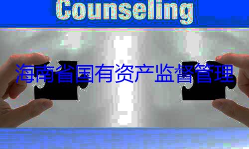 海南省国有委副书记王查调查理委员会党资产监督管有福接受审